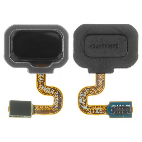 Cable flex puede usarse con Samsung N950F Galaxy Note 8, N950FD Galaxy Note 8 Duos, para escaner de huellas dactilares